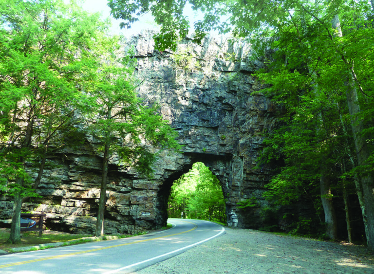 Backbone Rock Partners of the Cherokee National Forest