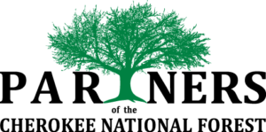 CNF Partners Logo